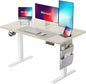 Standing Desk Adjustable Height Home Office Desk,‎48X24 Inch Electric Standing Desk, Stand up Desk with Storage Bag,Head